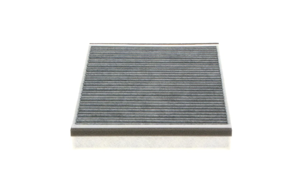 1987432598 Bosch Filtro antipolen