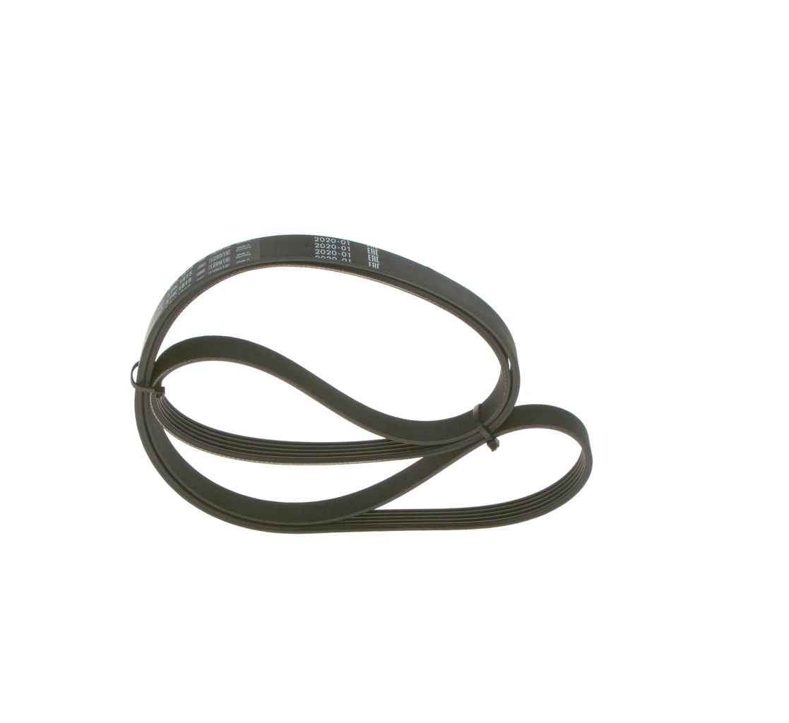 1987948482 Bosch Correa poly v