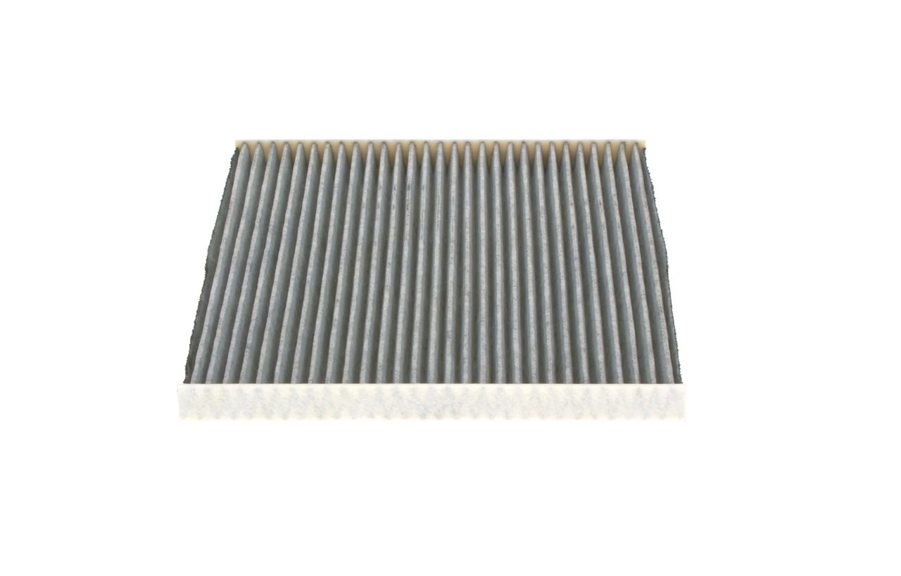1987435572 Bosch Filtro antipolen