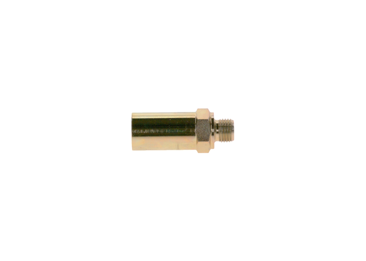 Comprar 2417413107 Bosch Válvula de derivación (perno banjo)