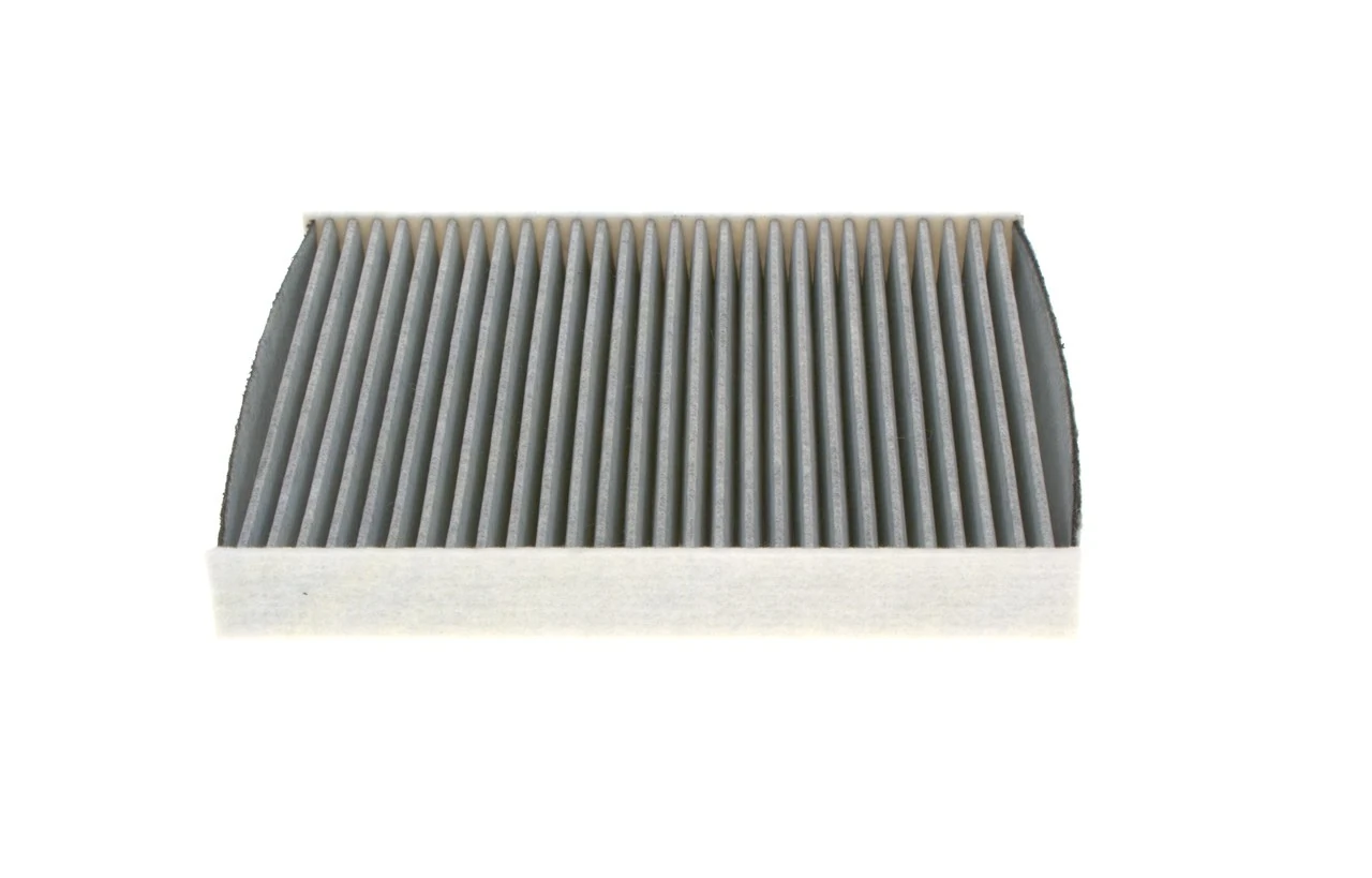 1987432543 Bosch Filtro antipolen