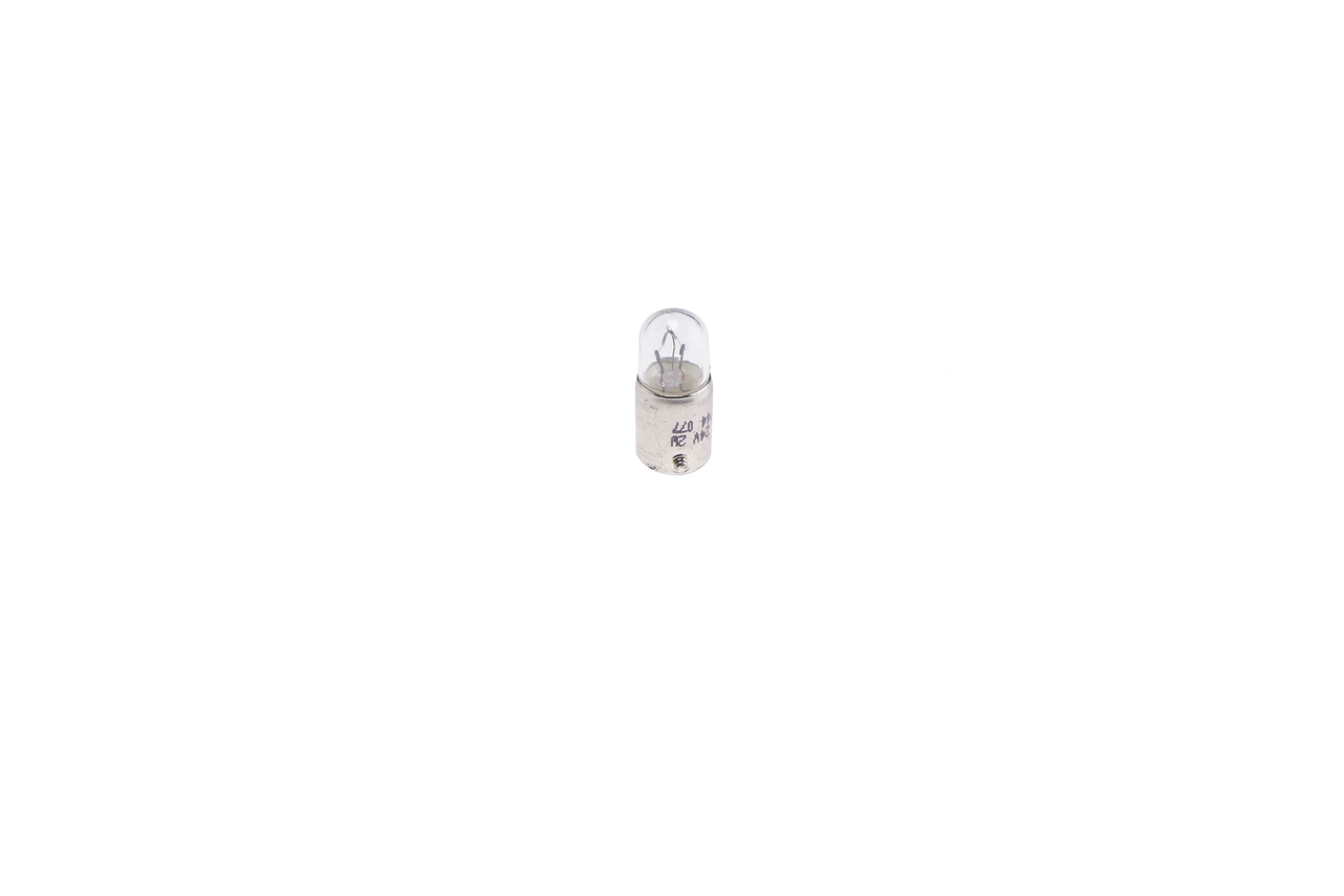 Bombilla 1987302508 Bosch