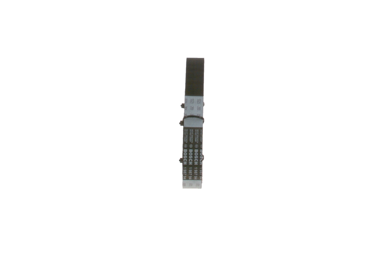 Comprar 1987948753 Bosch Correa de la bomba de inyección