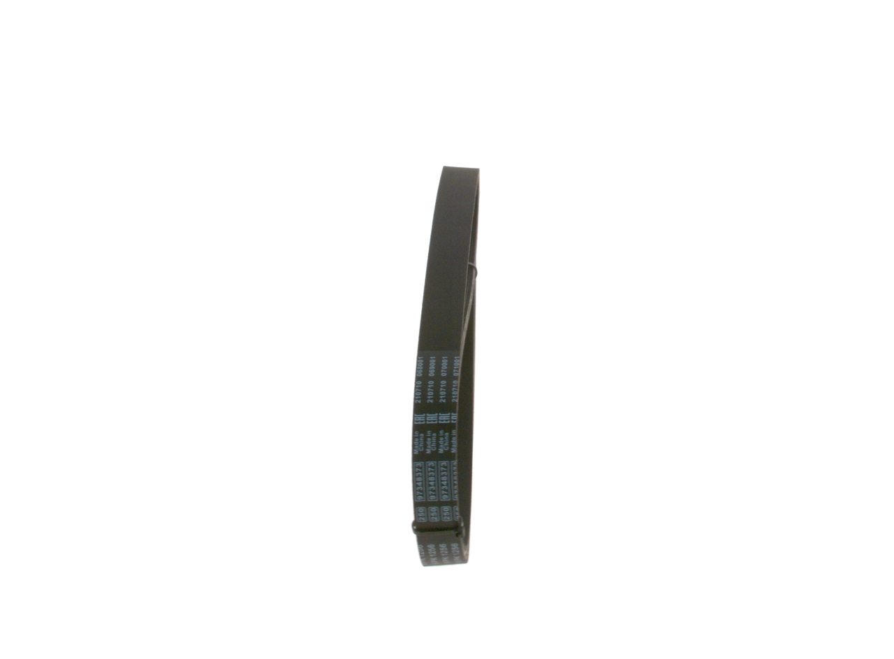 1987947887 Bosch Correa poly v