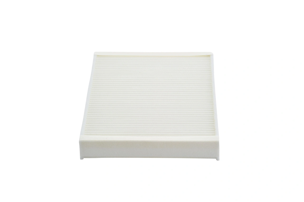 1987432205 Bosch Filtro antipolen