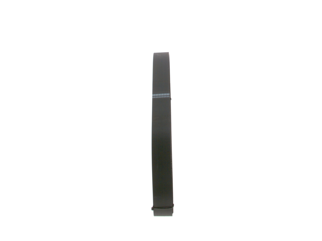 Correa de alternador 5010477838 Mazda