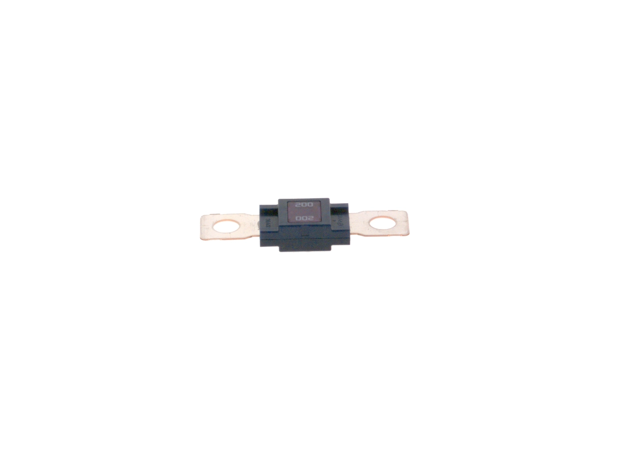 1987531004 Bosch Fusibles