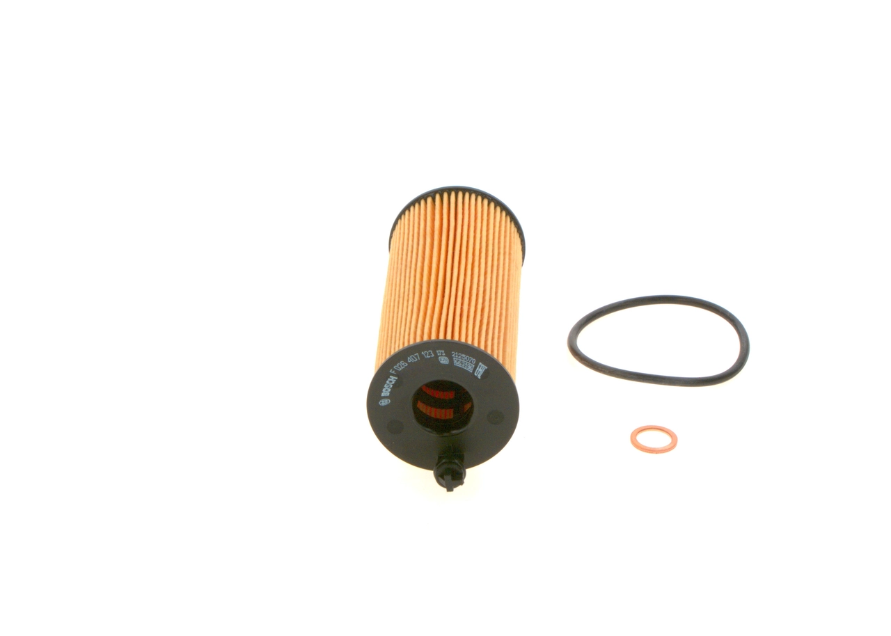 F026407123 Bosch Filtro aceite