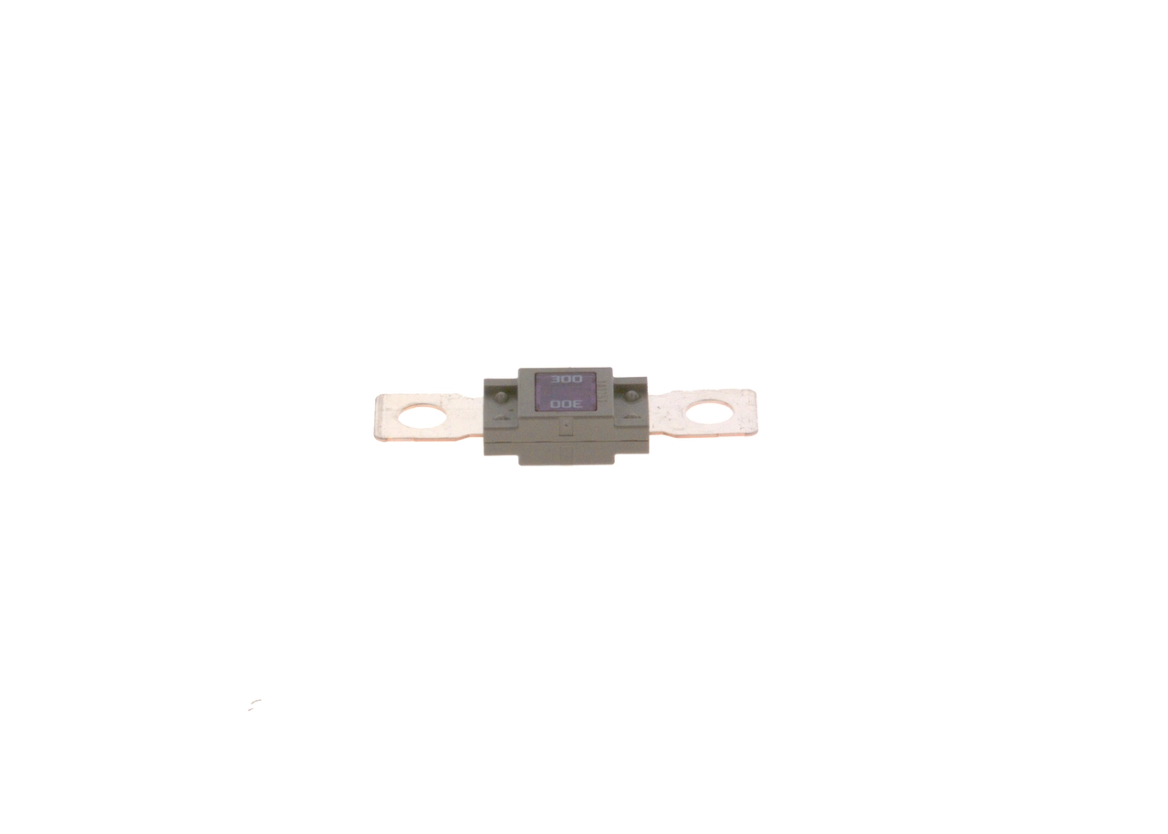 1987531007 Bosch Fusibles