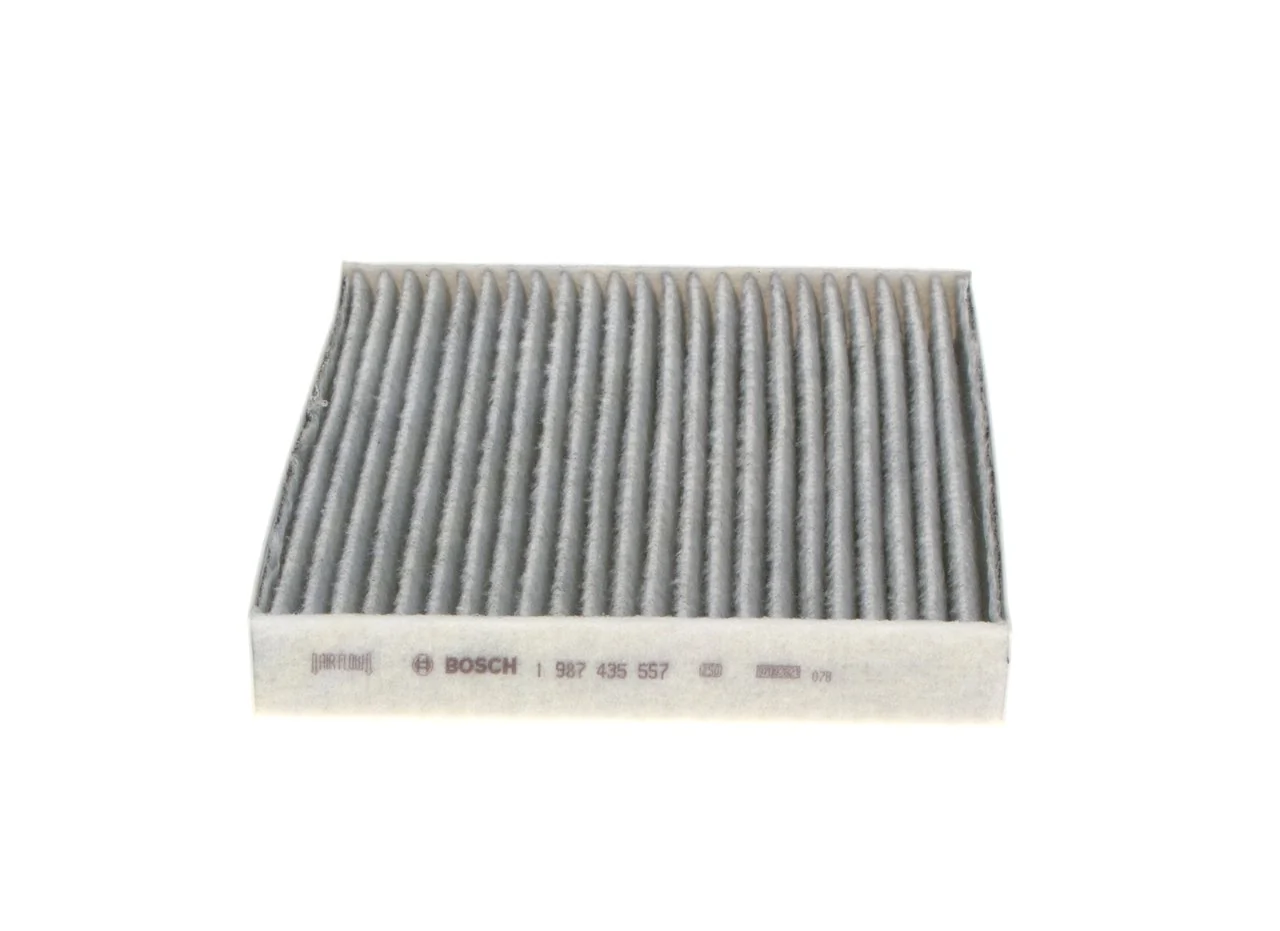 1987435557 Bosch Filtro antipolen
