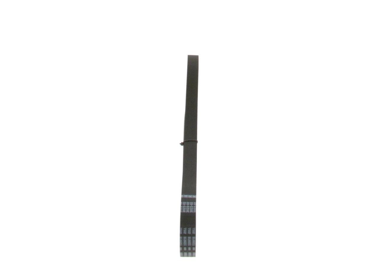1987947840 Bosch Correa poly v