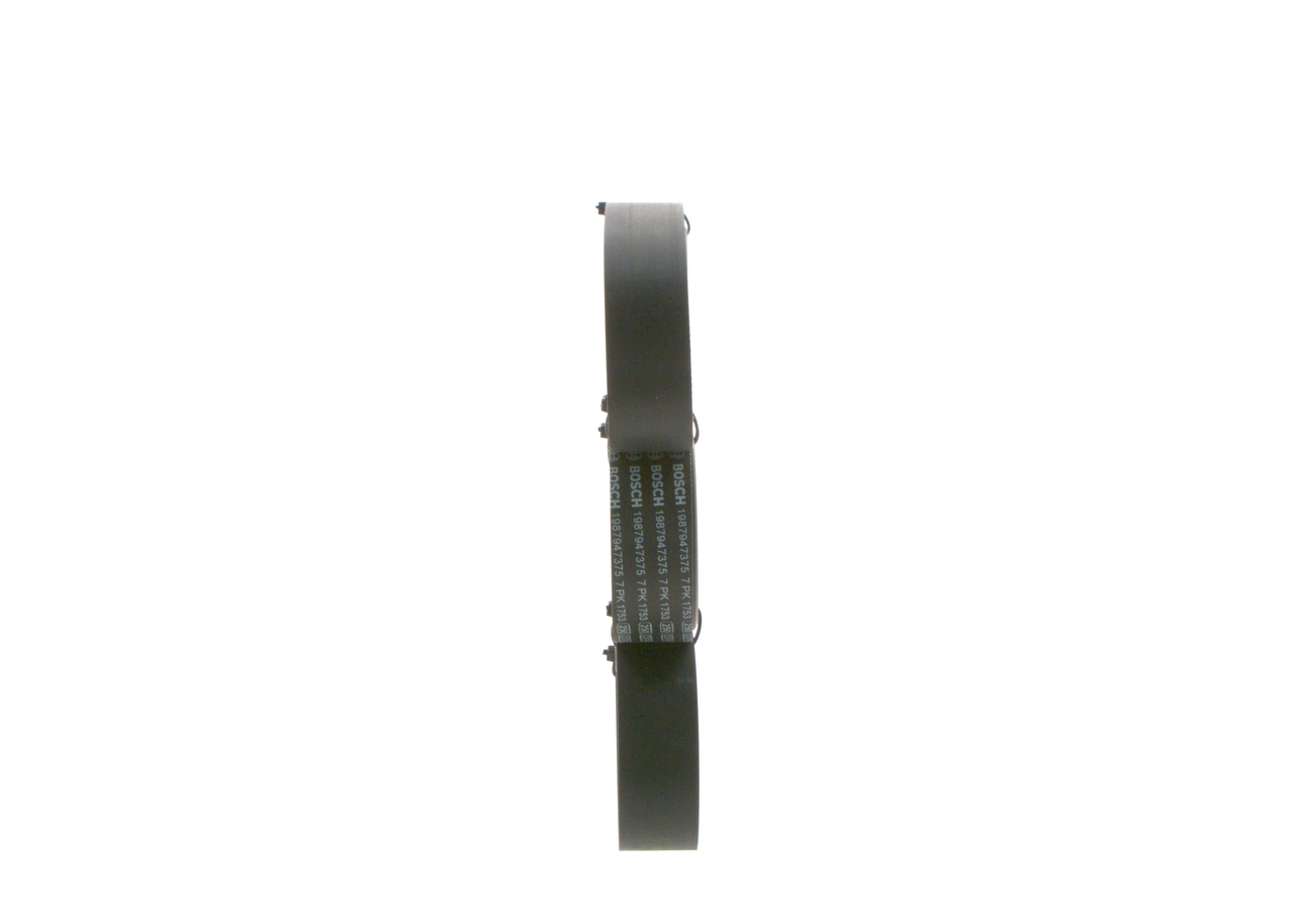 1987947375 Bosch Correa poly v