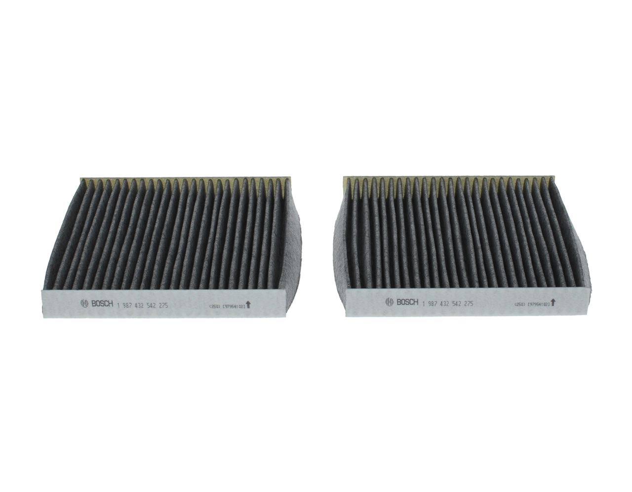 1987432542 Bosch Filtro antipolen