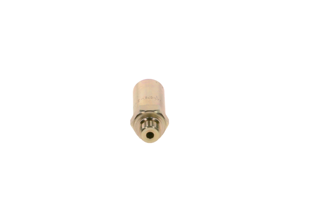 2417413078 Bosch Válvula de derivación (perno banjo)