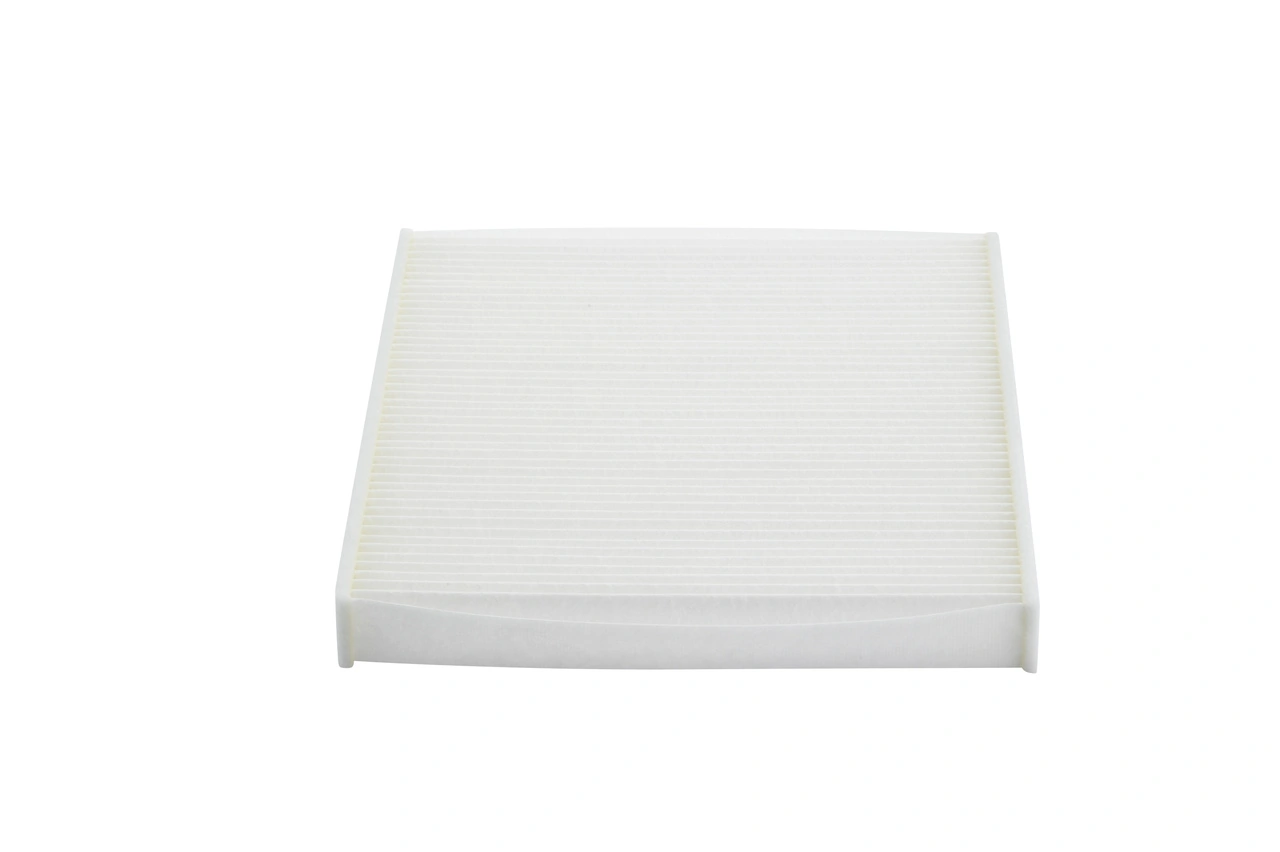 1987432038 Bosch Filtro antipolen