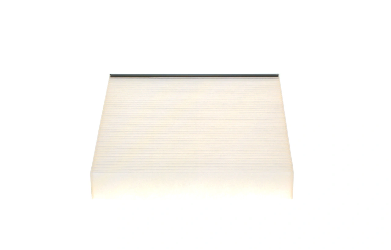 1987432069 Bosch Filtro antipolen