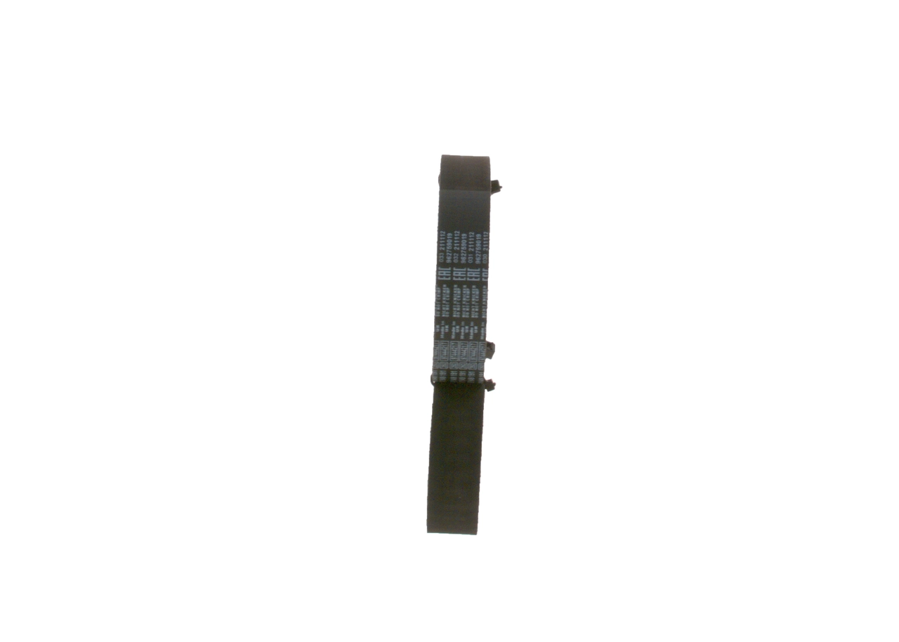 Comprar 1987949191 Bosch Correa distribución