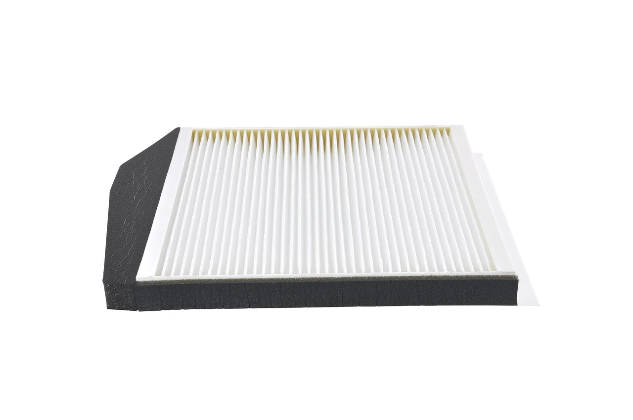 1987435061 Bosch Filtro antipolen
