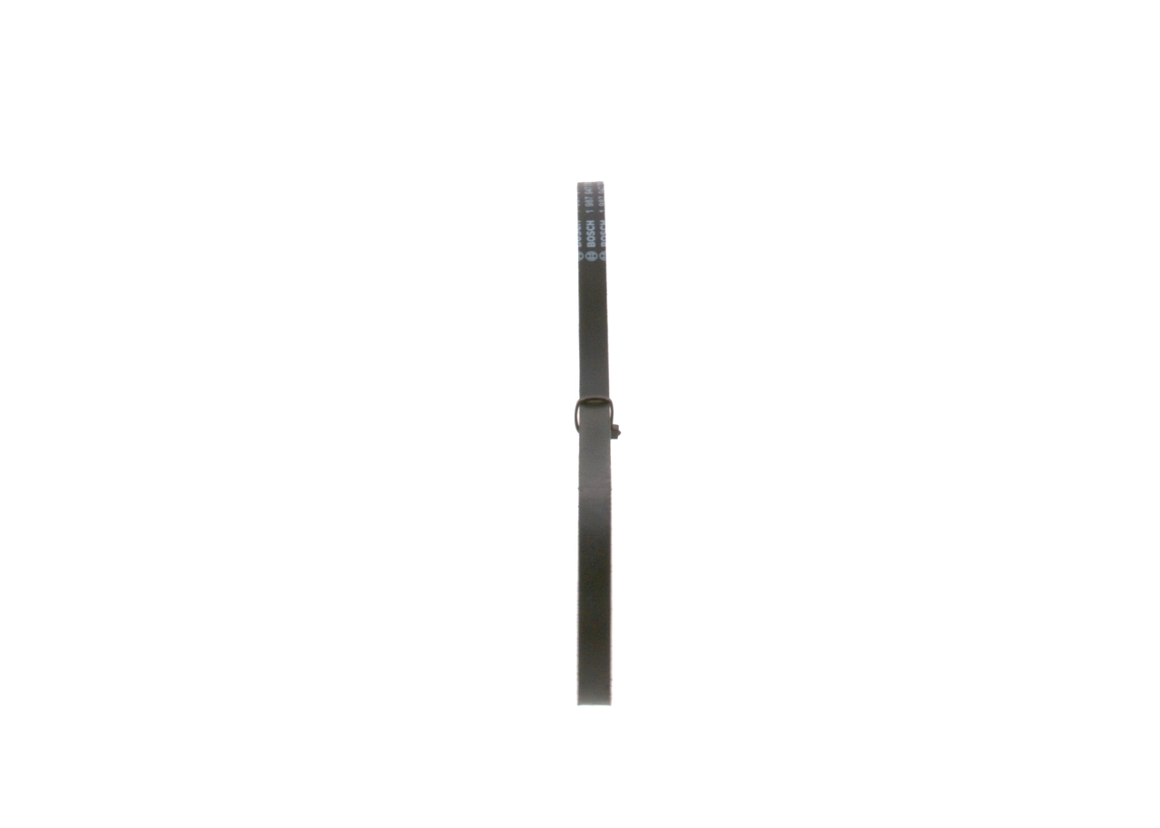 Comprar VKMV115X685 SKF Correa trapezoidal