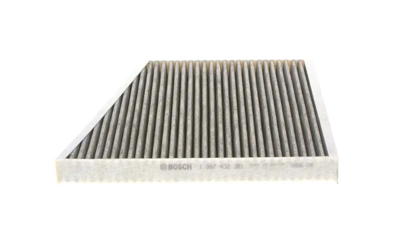 1987432381 Bosch Filtro antipolen