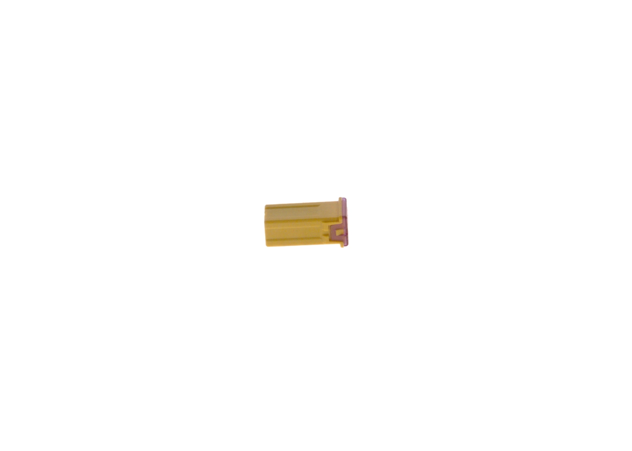 1987529061 Bosch Fusibles