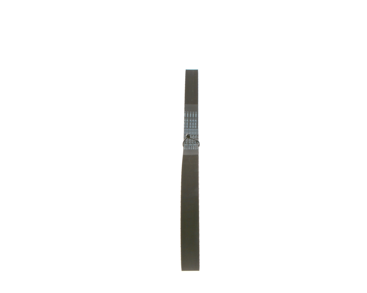 1987949505 Bosch Correa dentada