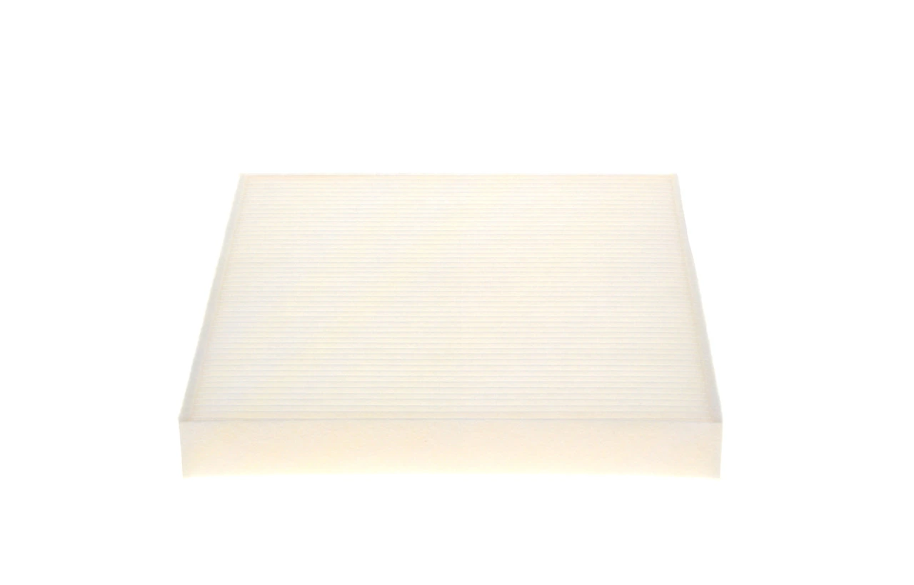 1987432540 Bosch Filtro antipolen
