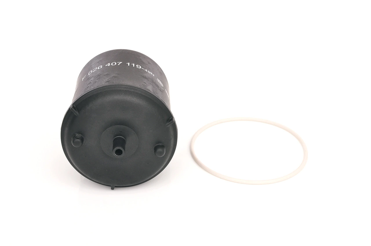 Comprar F026407119 Bosch Filtros de aceite