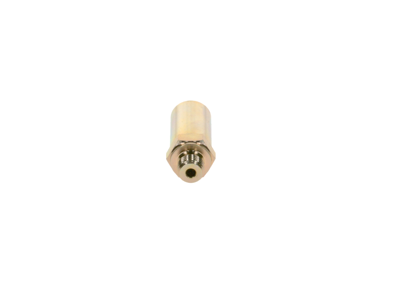 2417413107 Bosch Válvula de derivación (perno banjo)