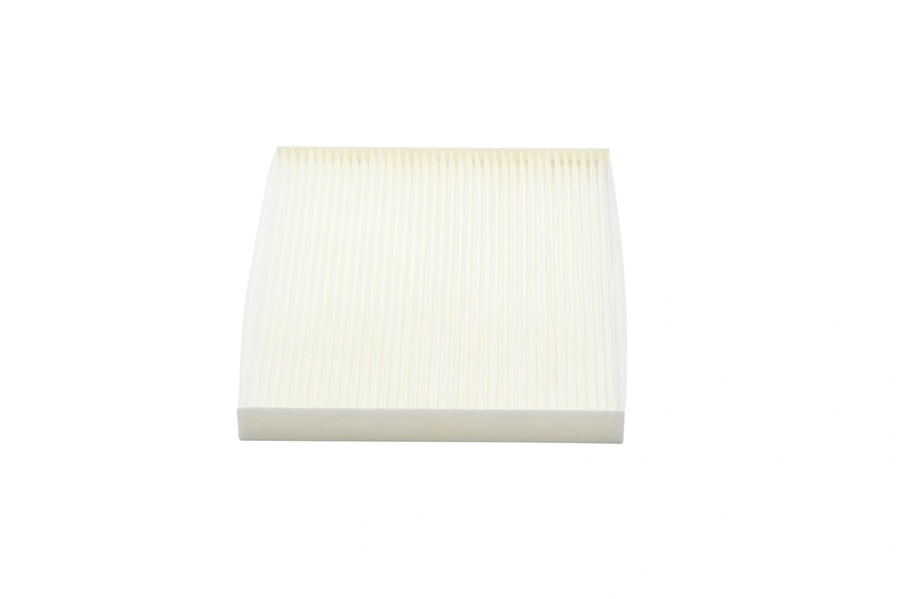 1987432238 Bosch Filtro antipolen