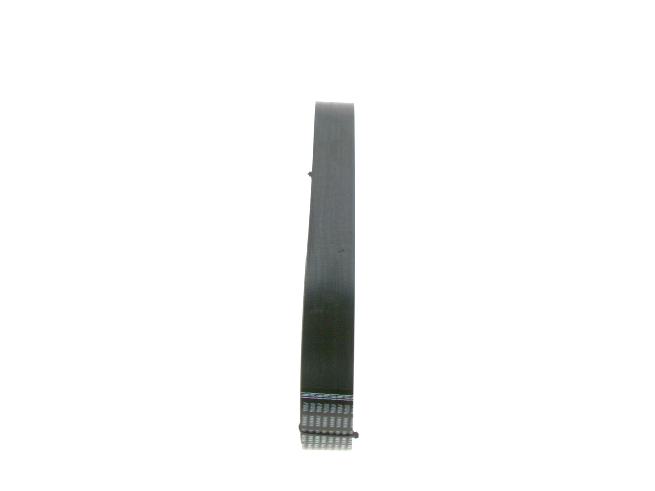 Comprar 504022568 Iveco Correa trapezoidal