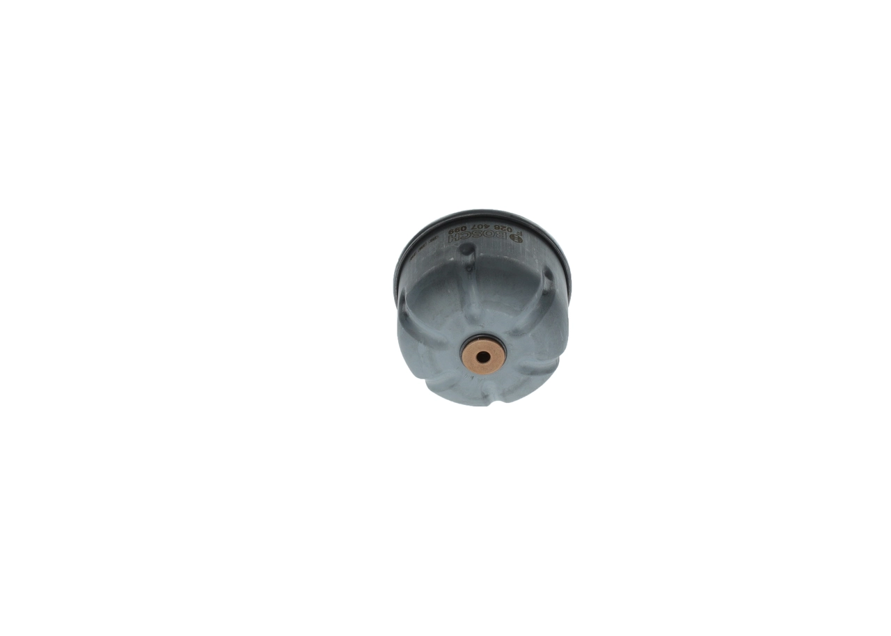 F026407099 Bosch Filtro aceite