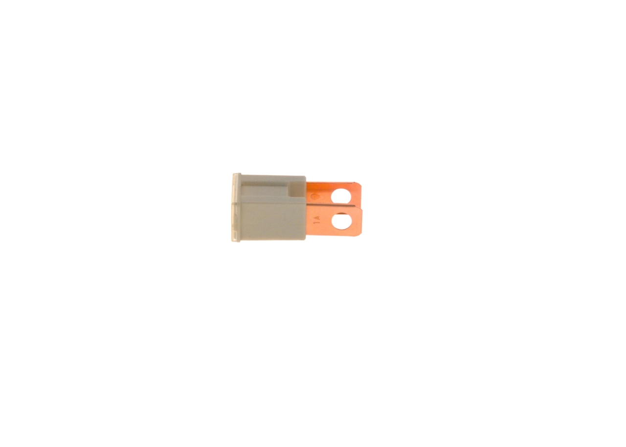 1987529075 Bosch Fusibles