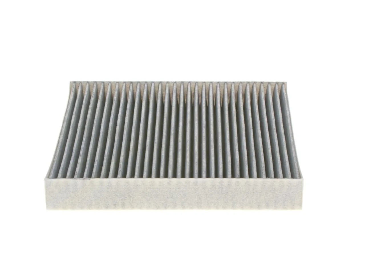 1987432409 Bosch Filtro antipolen