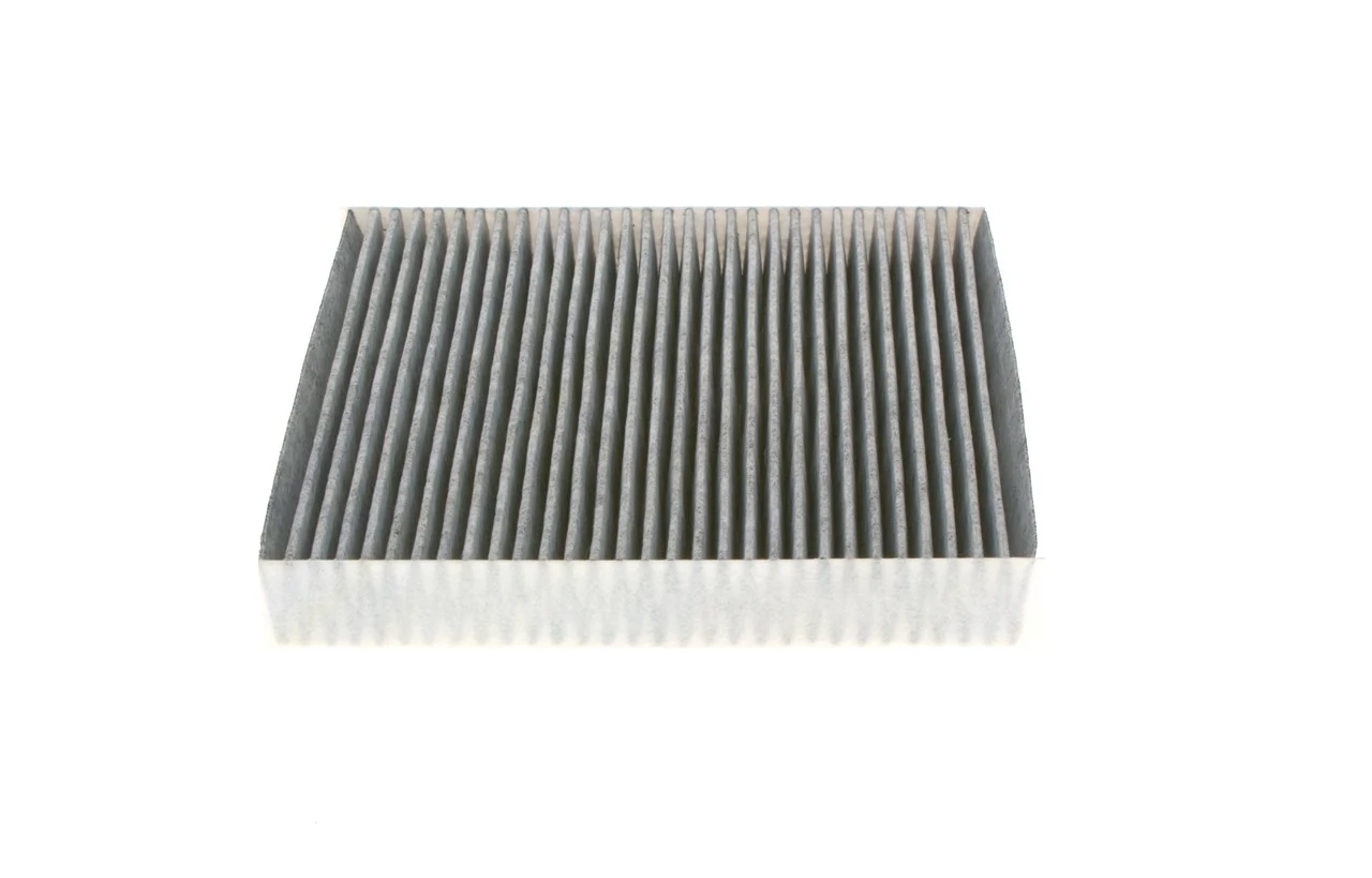 1987435518 Bosch Filtro antipolen