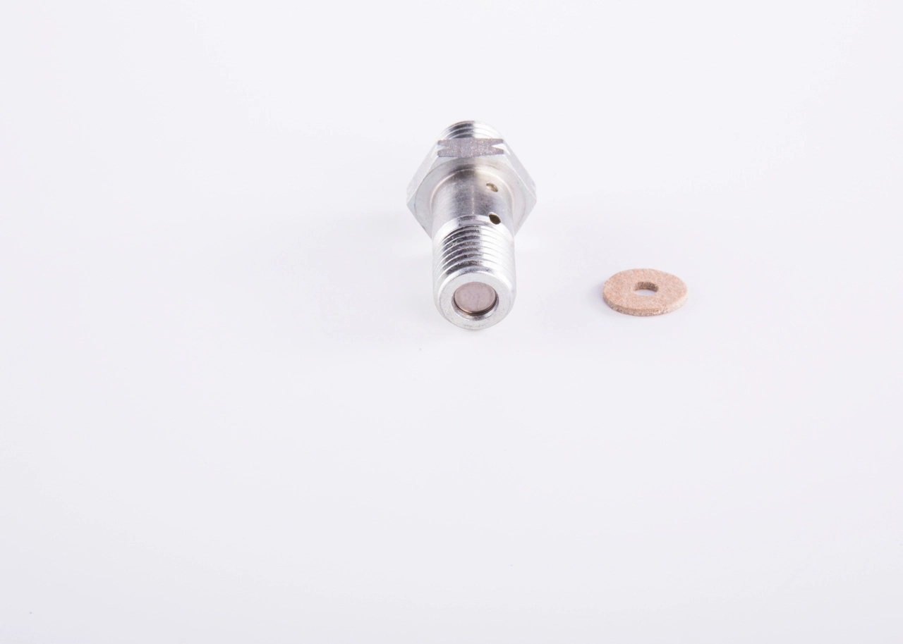 2467413025 Bosch Válvula de derivación (perno banjo)