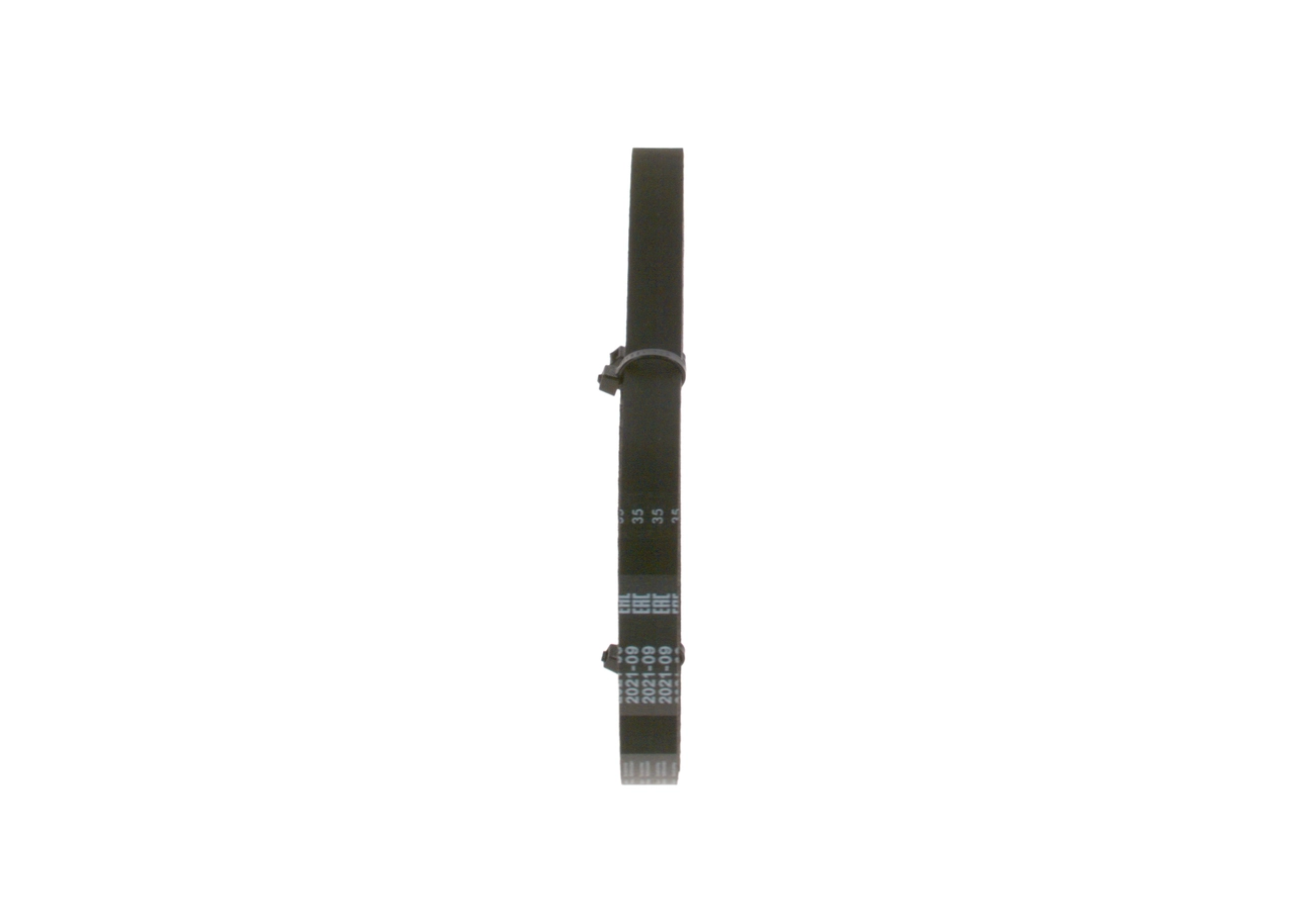 Comprar 1987949071 Bosch Correa distribución