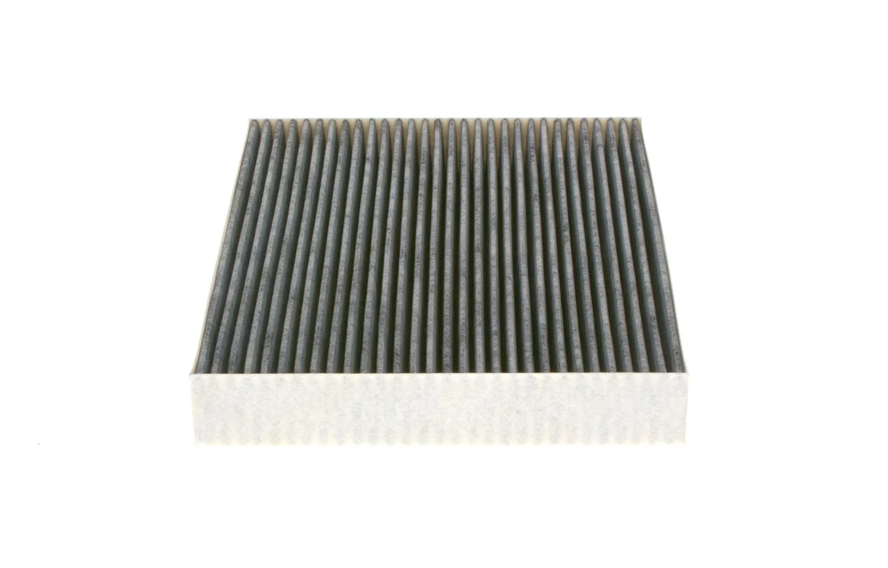 1987435552 Bosch Filtro antipolen