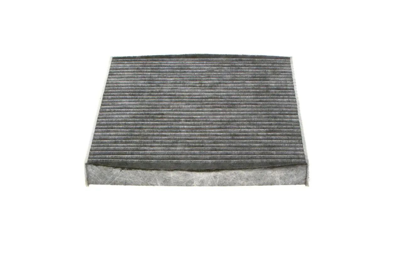 1987435515 Bosch Filtro antipolen
