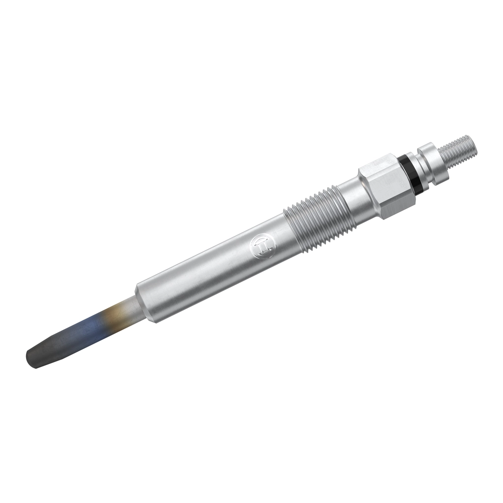 Bujías incandescentes Bosch 0250202131 precio, desde 29,39 EUR