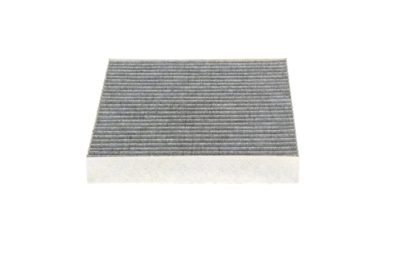 1987432416 Bosch Filtro antipolen