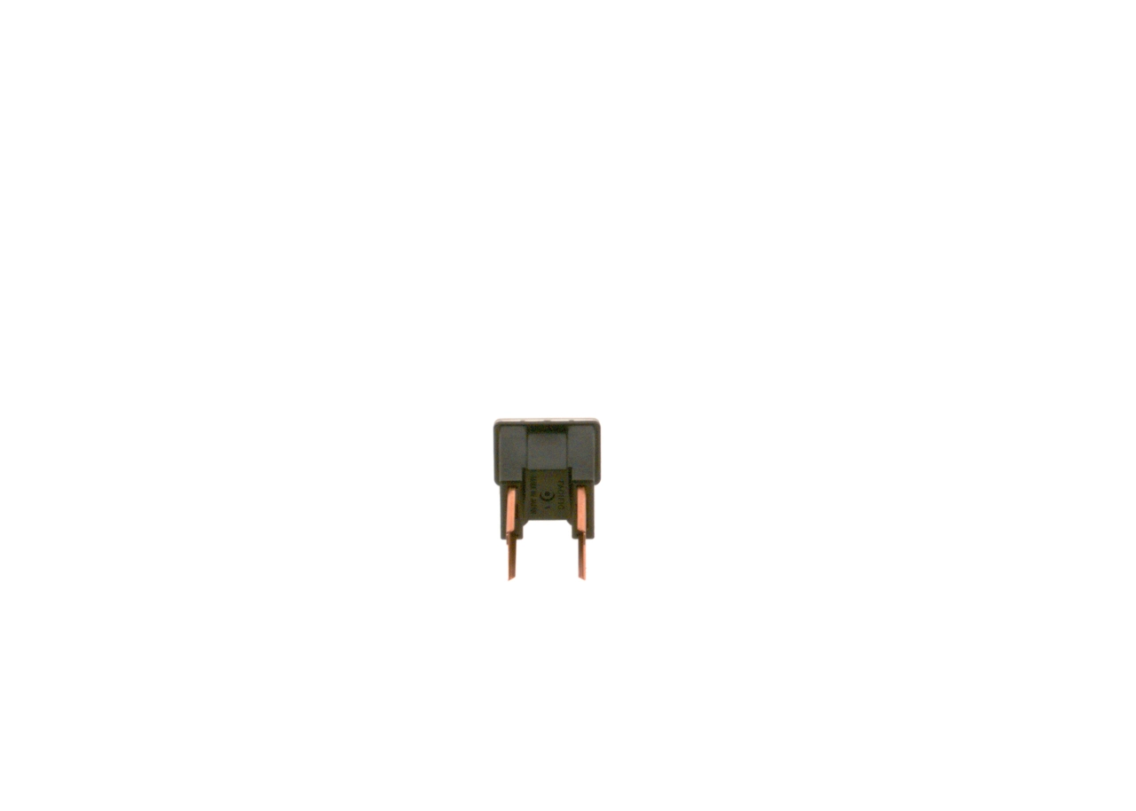 1987529073 Bosch Fusibles