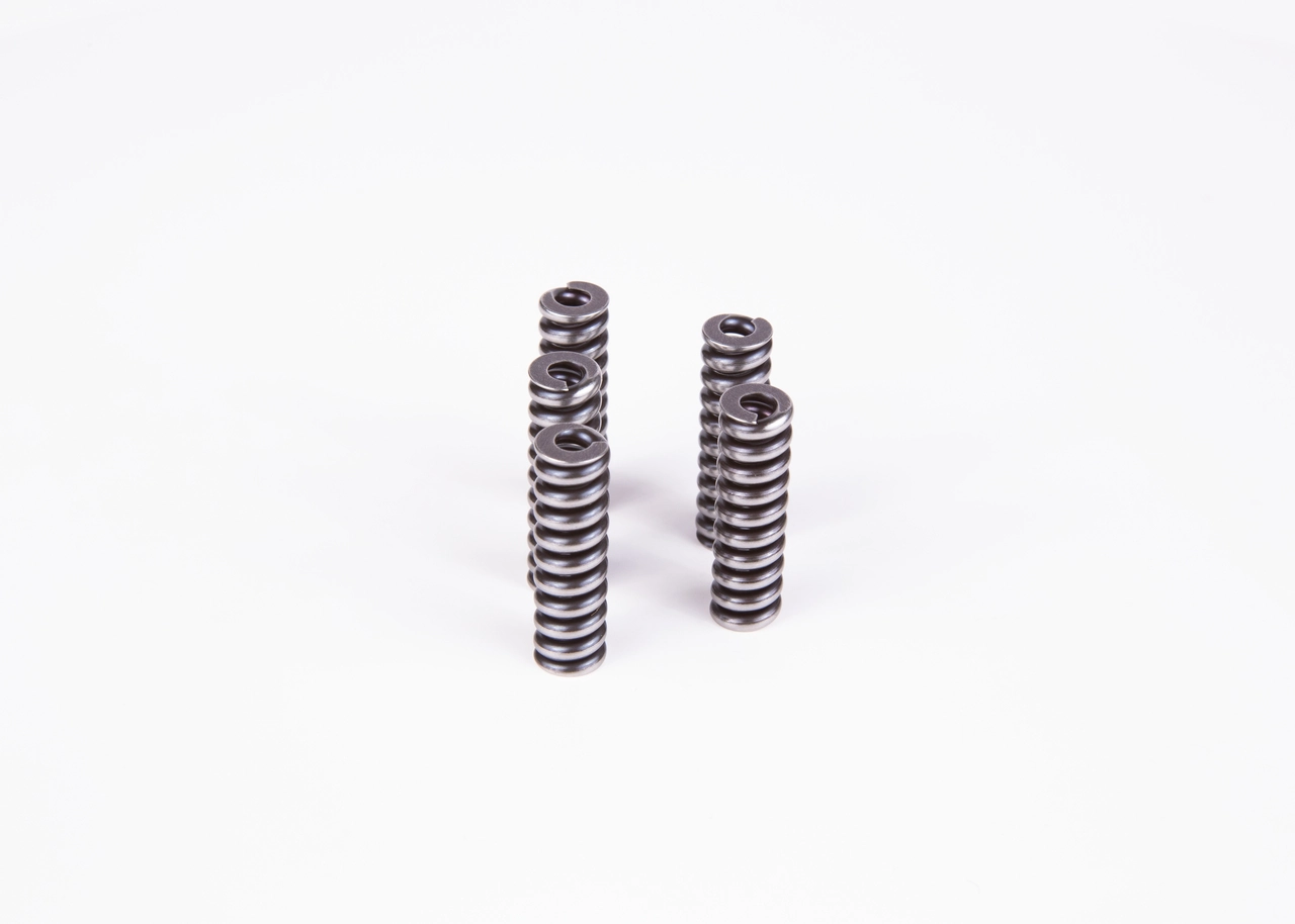 2434614055 Bosch Muelle de las zapatas de freno traseras de tambor