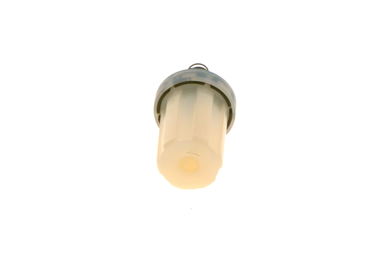 2447010042 Bosch Filtro de gasolina