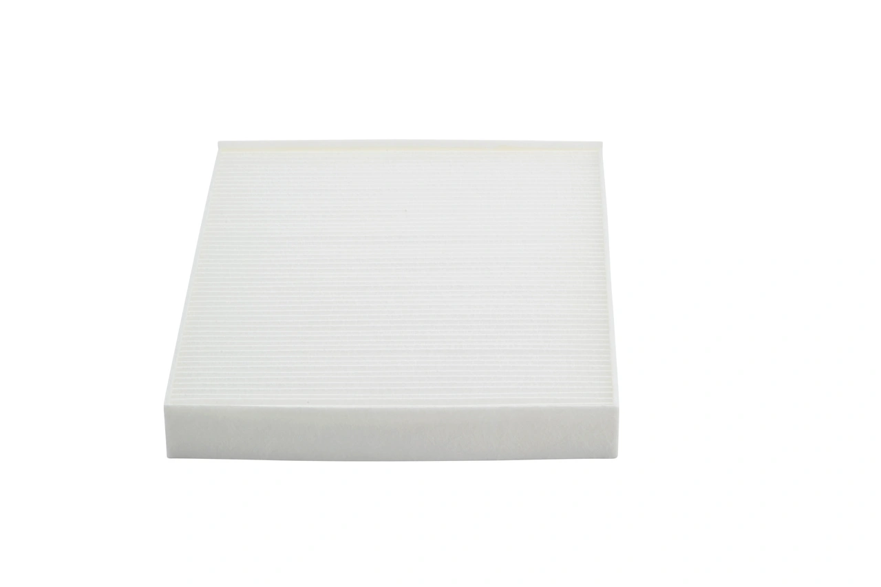 1987432114 Bosch Filtro antipolen