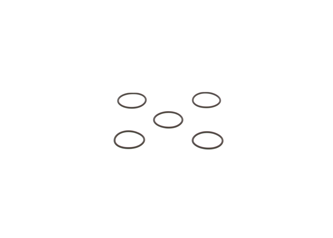 Anillo de estanqueidad de la bomba de cebado Bosch 2440210026 precio, desde 1,66 EUR