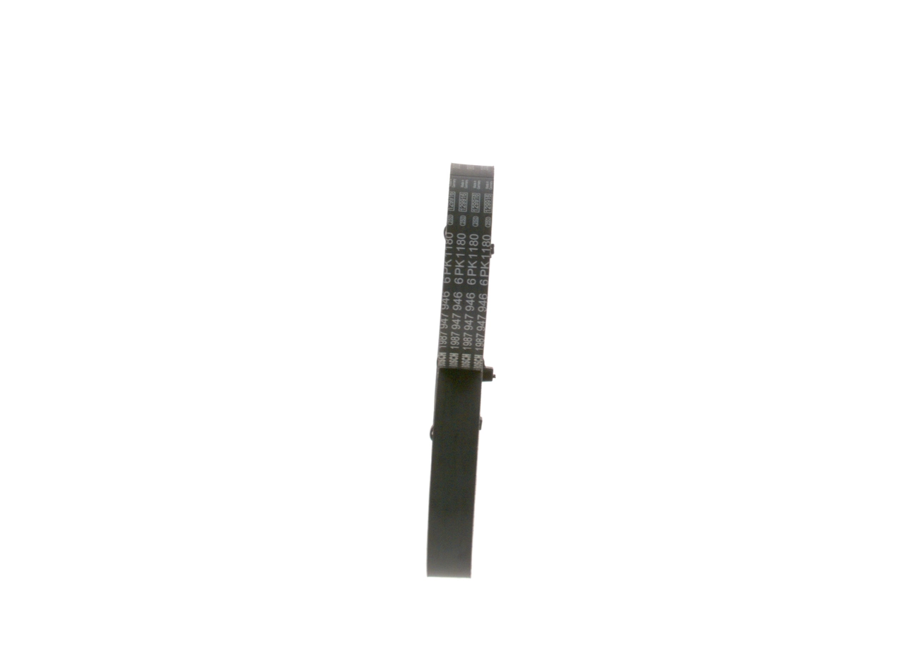 1987947946 Bosch Correa poly v