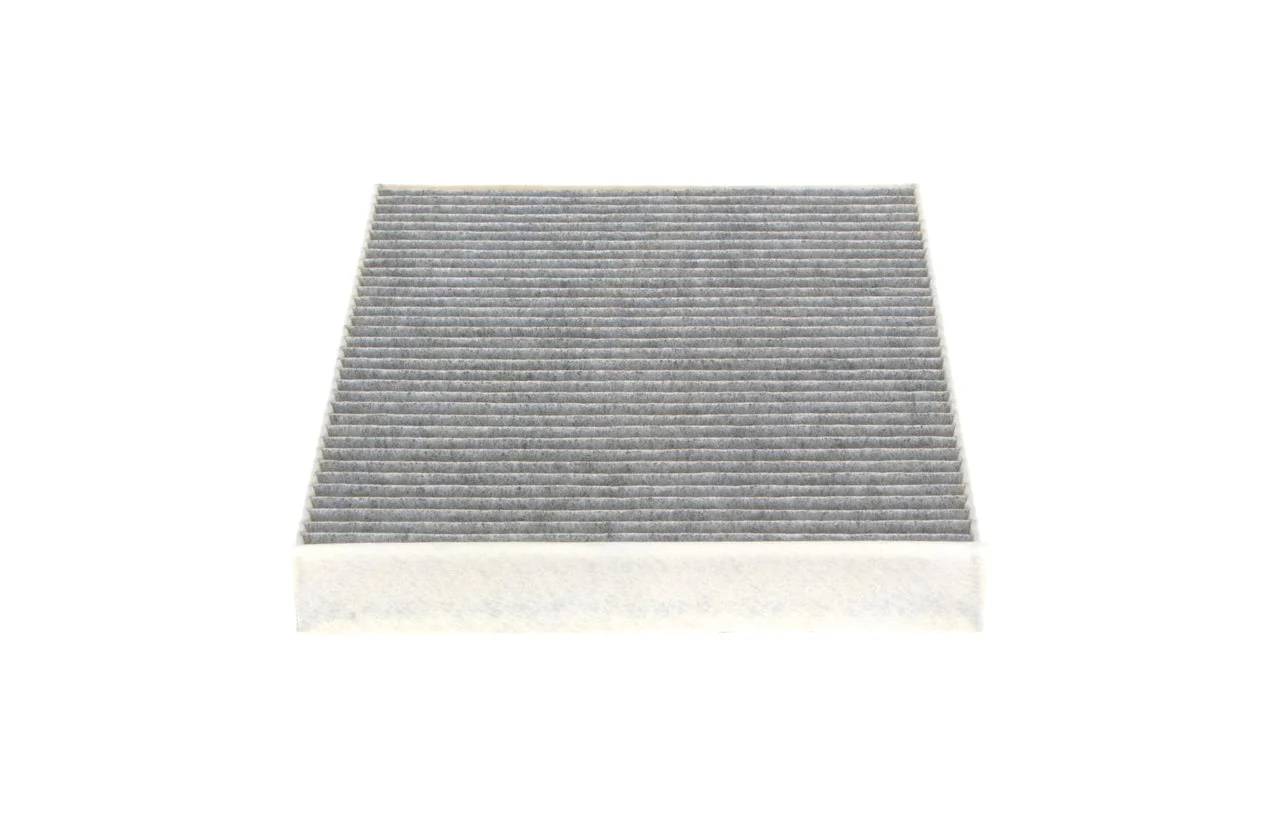 1987432431 Bosch Filtro antipolen