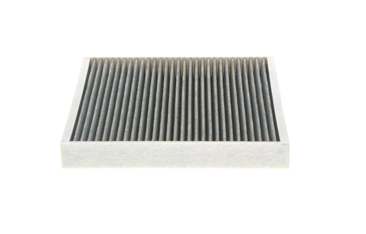 1987435502 Bosch Filtro antipolen