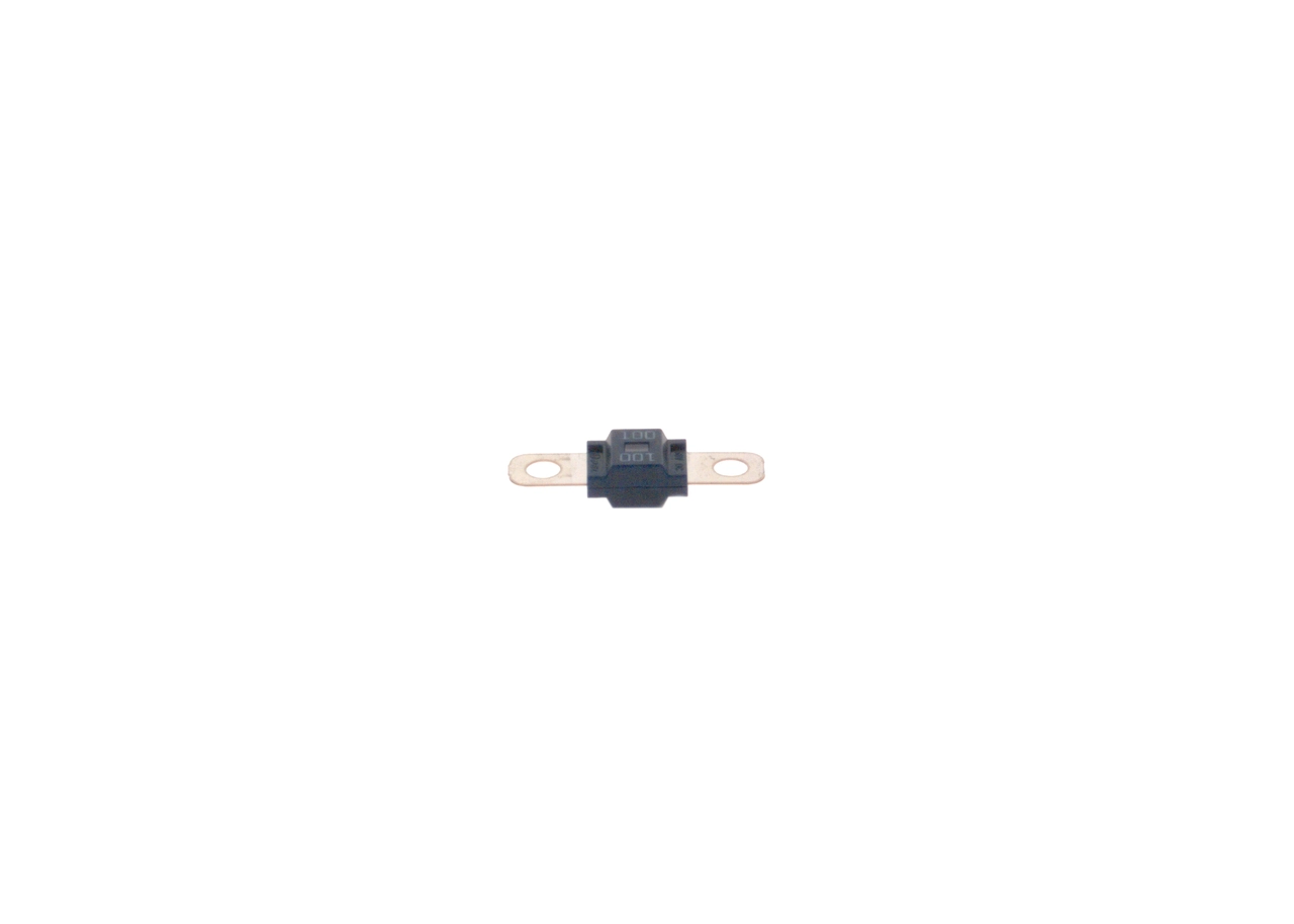 1987531011 Bosch Fusibles